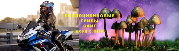 2c-b Алексин