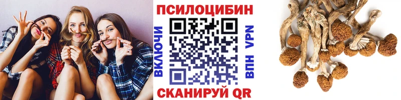 Псилоцибиновые грибы GOLDEN TEACHER  Белебей 